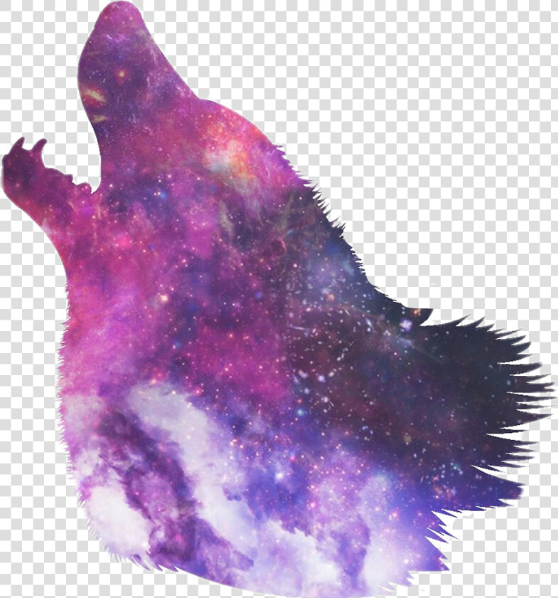  galaxywolf  galaxy  wolf   Wolf Head Howling Silhouette  HD Png DownloadTransparent PNG