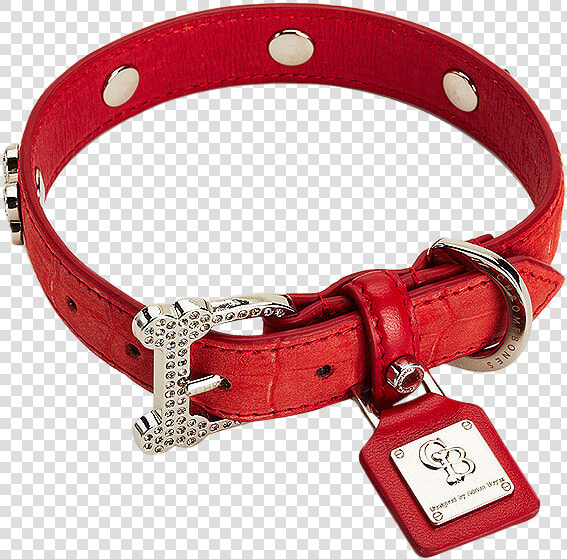 Dog Collar Png Photo   Dog Collar Png  Transparent PngTransparent PNG