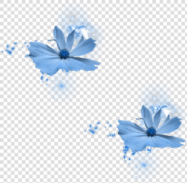 Flower Blue By Azulita1212 On Deviantart   Blue Rose  HD Png DownloadTransparent PNG