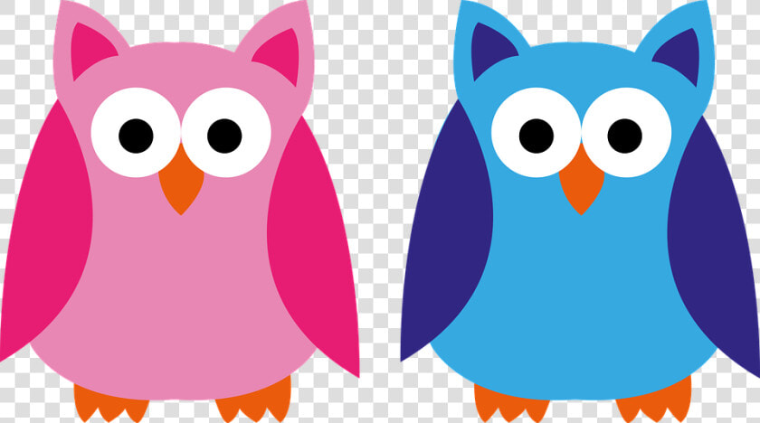 Owl  Blue  Pink  Boy  Girl  Application  Forest Animal   Meme Menina Veste Rosa  HD Png DownloadTransparent PNG