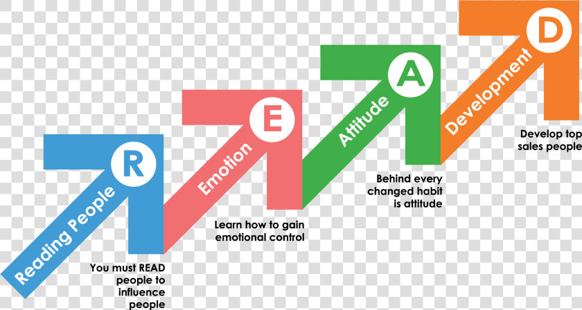 4 Steps To Master Persuasion   Graphic Design  HD Png DownloadTransparent PNG