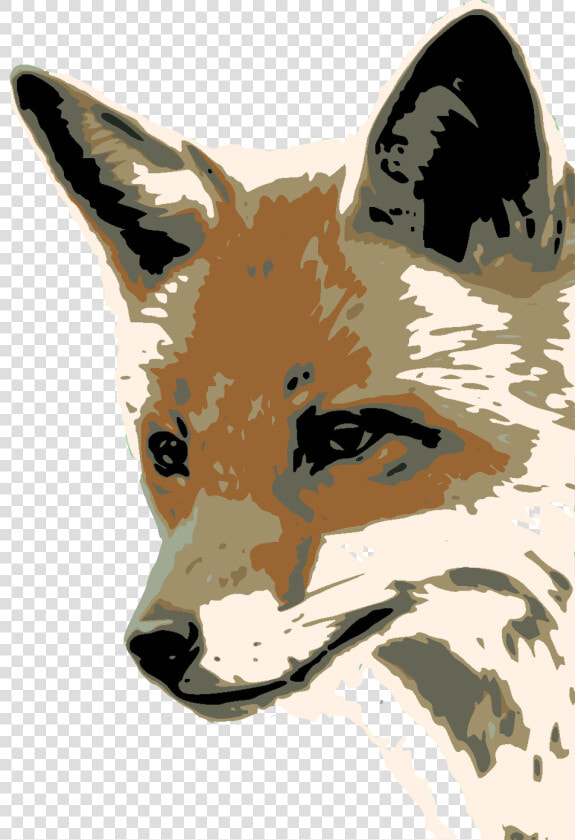 Foxface Dis   Fox Face  HD Png DownloadTransparent PNG