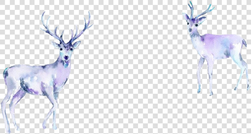  watercolor  deer  stag  doe  freetoedit  purple  pastel   Watercolor Painting  HD Png DownloadTransparent PNG