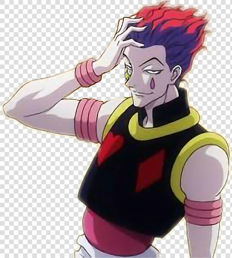 Hisoka Hunter X Hunter   Png Download   Hisoka Hunter X Hunter  Transparent PngTransparent PNG