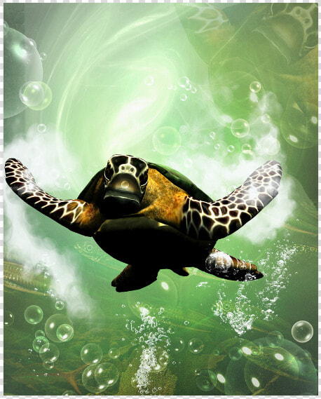 Cute Turtle Poster 16 X20   Hawksbill Sea Turtle  HD Png DownloadTransparent PNG