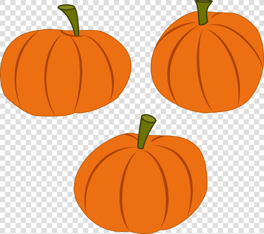 Bulbasaur Vector Pumpkin Carving   Transparent Background Vector Pumpkin Png  Png DownloadTransparent PNG