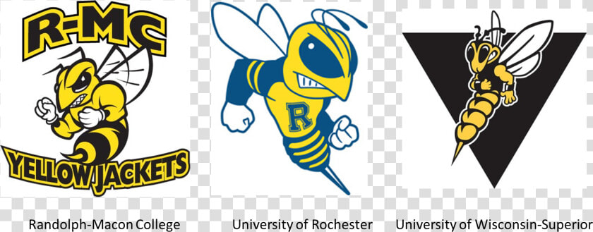 Randolph Macon Yellow Jackets  HD Png DownloadTransparent PNG