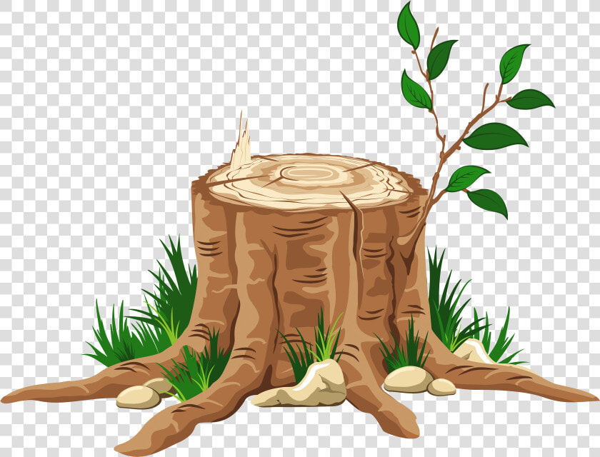 Partial Tree Trunk Free Png   Tree Stump Transparent Background  Png DownloadTransparent PNG