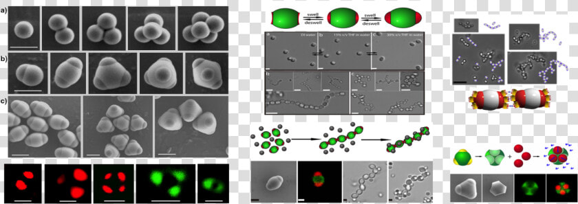 Patchy Particles  HD Png DownloadTransparent PNG