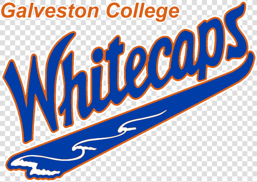 Galveston College  HD Png DownloadTransparent PNG