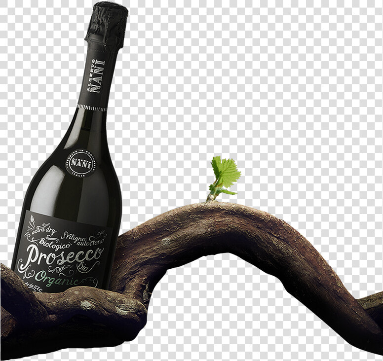 Nani Png   Png Download   Champagne  Transparent PngTransparent PNG