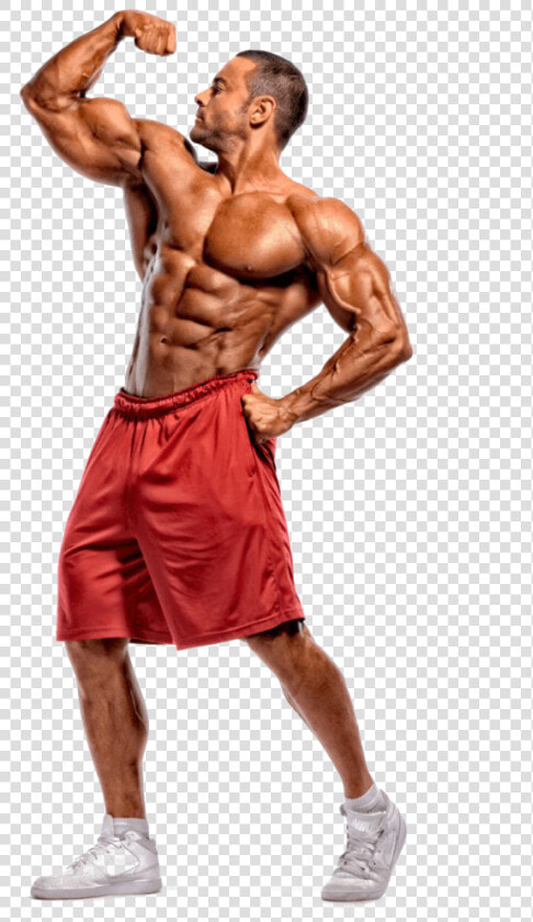 Bodybuilding Transparent   Body Builder Stock  HD Png DownloadTransparent PNG