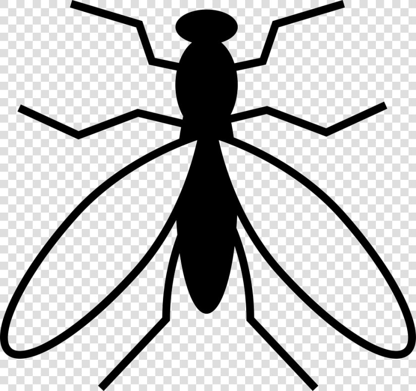 Mosquito From Top View   Mosquito Vector Art  HD Png DownloadTransparent PNG