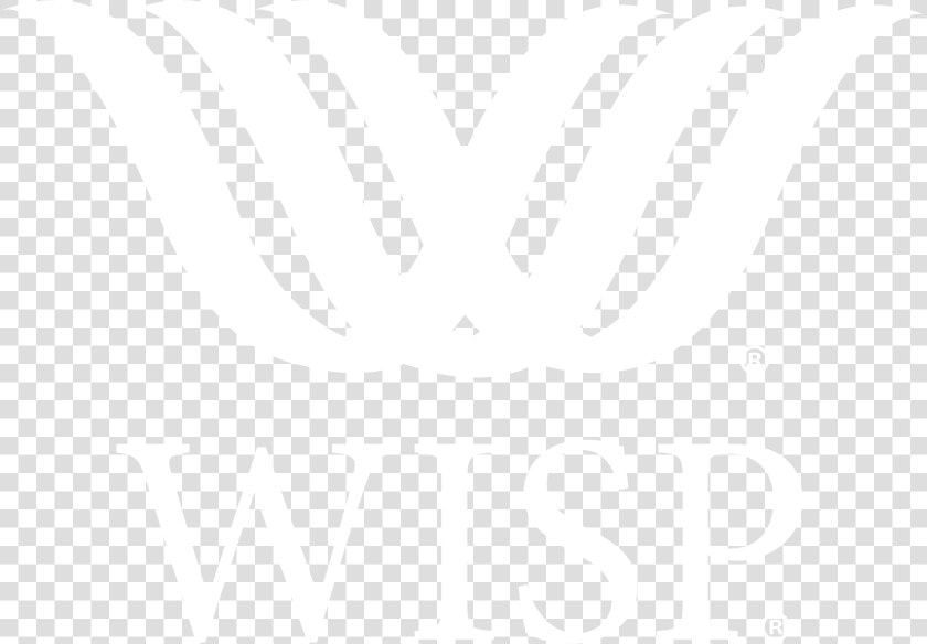 The Wisp Cleaning System Giveaway   Bodega Alta Vista  HD Png DownloadTransparent PNG