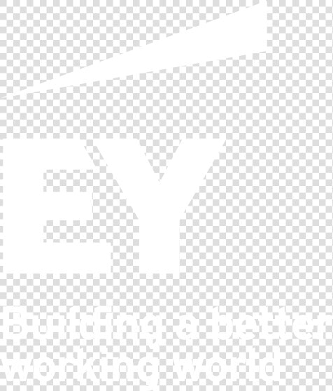 Ey Project Logo   China Southern Airlines Logo White  HD Png DownloadTransparent PNG