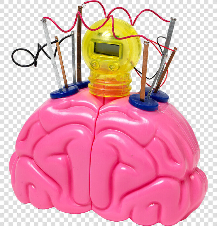 0018 10621 Thinking Time Contents   Baby Toys  HD Png DownloadTransparent PNG