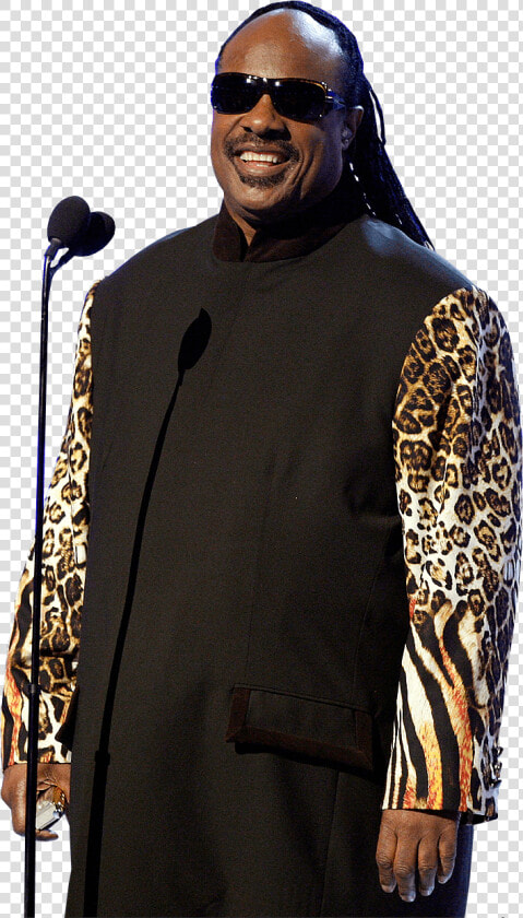 Stevie Wonder Standing   Stevie Wonder Transparent Background  HD Png DownloadTransparent PNG