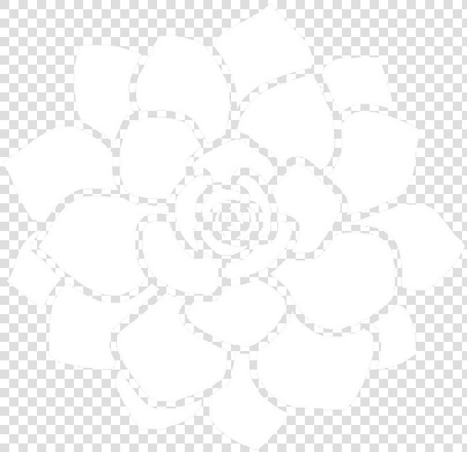 Transparent Flower Overlay Png   Overlays Stuff For Edits  Png DownloadTransparent PNG