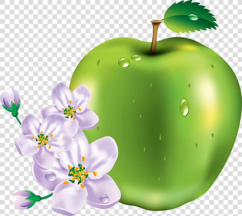 15 Green Apple Png Image Clipart Image   Transparent Transparent Png Green Apple Flowers  Png DownloadTransparent PNG