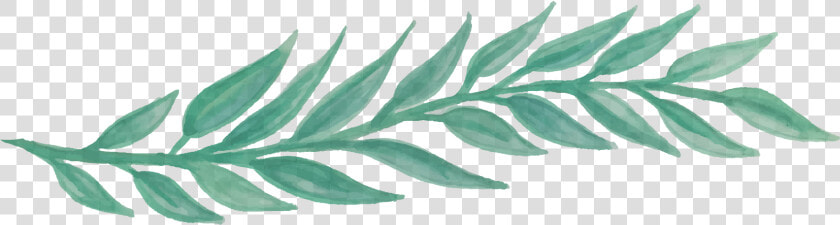 Free Greenery Watercolor Png   Png Download   Png Transparent Leaf Watercolor Png  Png DownloadTransparent PNG