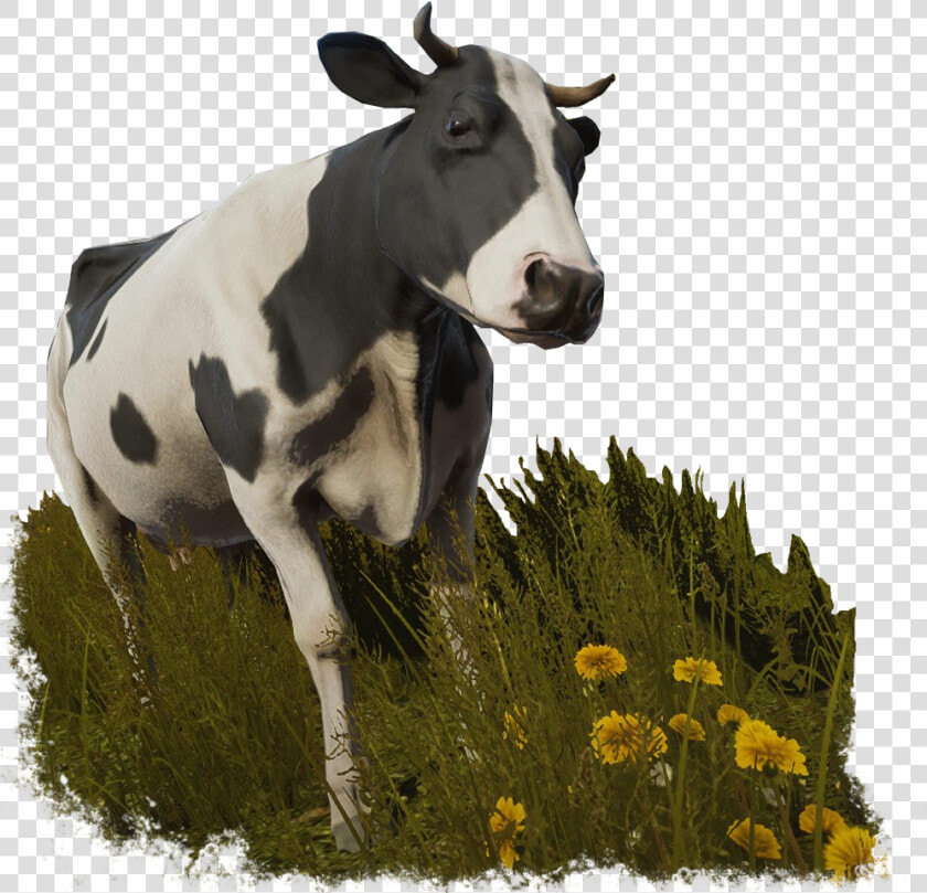 Cow Sansbg   Pure Farming 2018 Animals  HD Png DownloadTransparent PNG