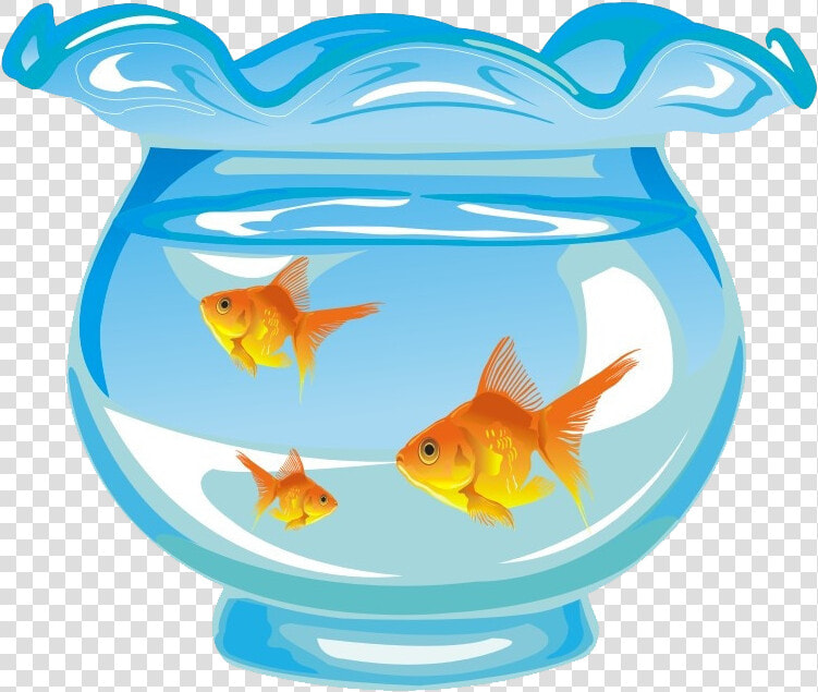 Aquarium Fish Tank Cartoon   Fish In Tank Cartoon  HD Png DownloadTransparent PNG