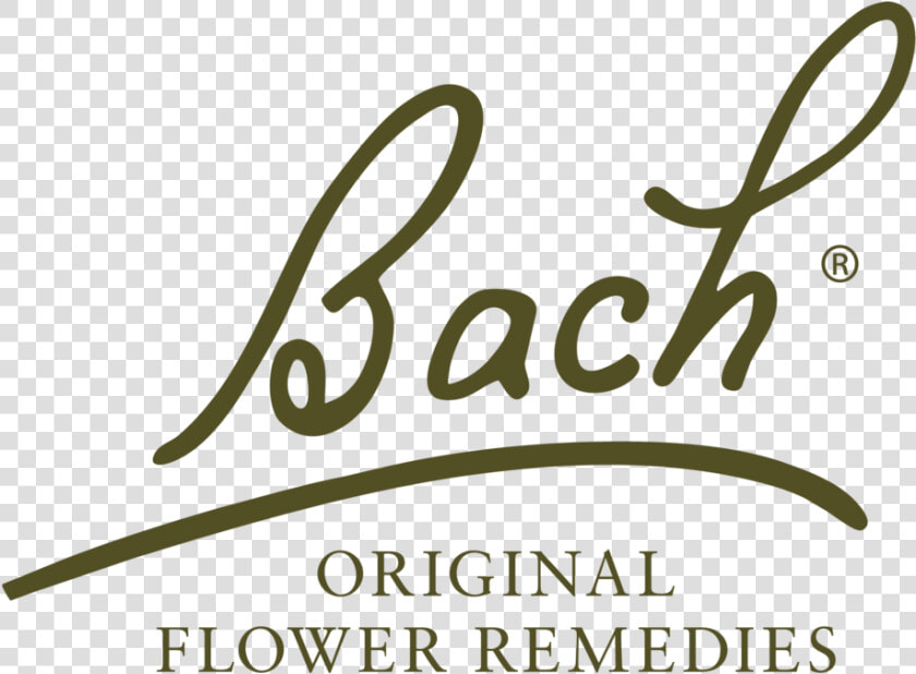 Bach Flowers Logo   Bach Flower Remedies Logo Png  Transparent PngTransparent PNG