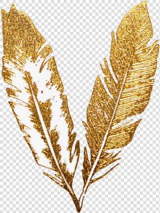  freetoedit  gold  glitter  aesthetic  png  feather   Transparent Gold Feather Png  Png DownloadTransparent PNG