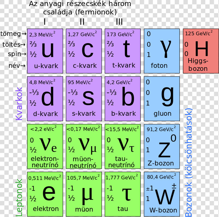 Standard Model Of Elementary Particles Hu   Graphic Design  HD Png DownloadTransparent PNG