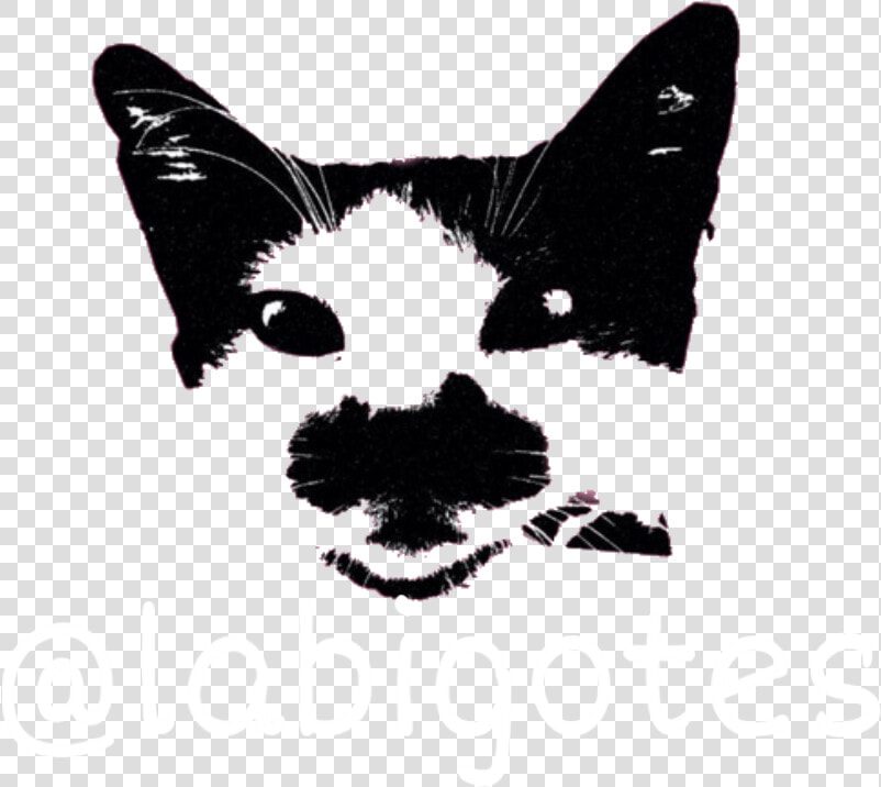  bigotes  freetoedit   Sphynx  HD Png DownloadTransparent PNG