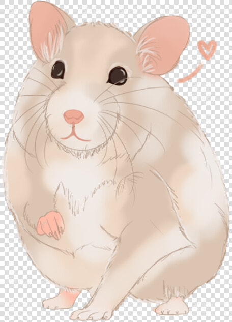 Hamster Clipart Syrian  HD Png DownloadTransparent PNG