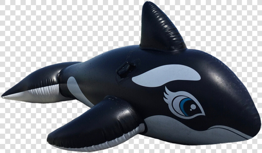 Wal  Killer  Orca  Marine Mammals  Float  Toys   Schwimmhilfe Png  Transparent PngTransparent PNG