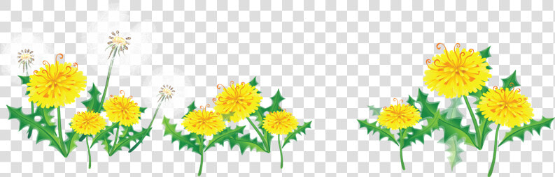 Res  Flower Border By Hanabell1 On Clipart Library   Transparent Flower Border  HD Png DownloadTransparent PNG