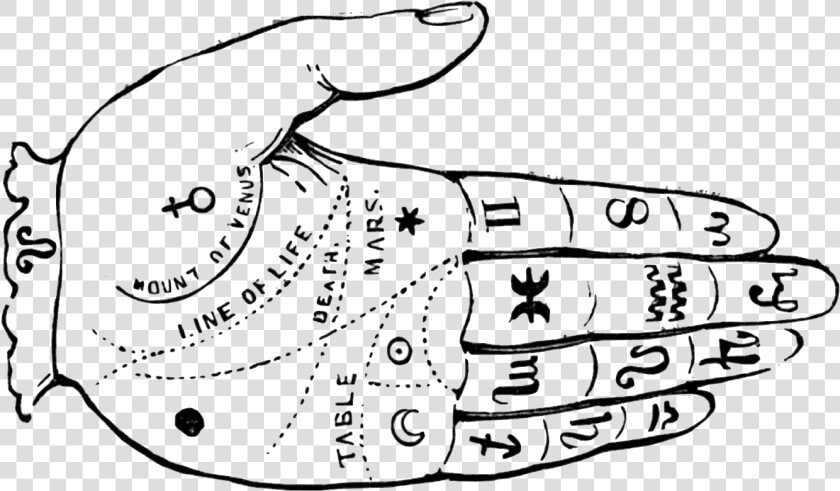 Palm Reading Diagram   Fortune Teller Hand Png  Transparent PngTransparent PNG