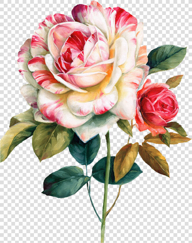 Flowers Image For Decoupage  HD Png DownloadTransparent PNG