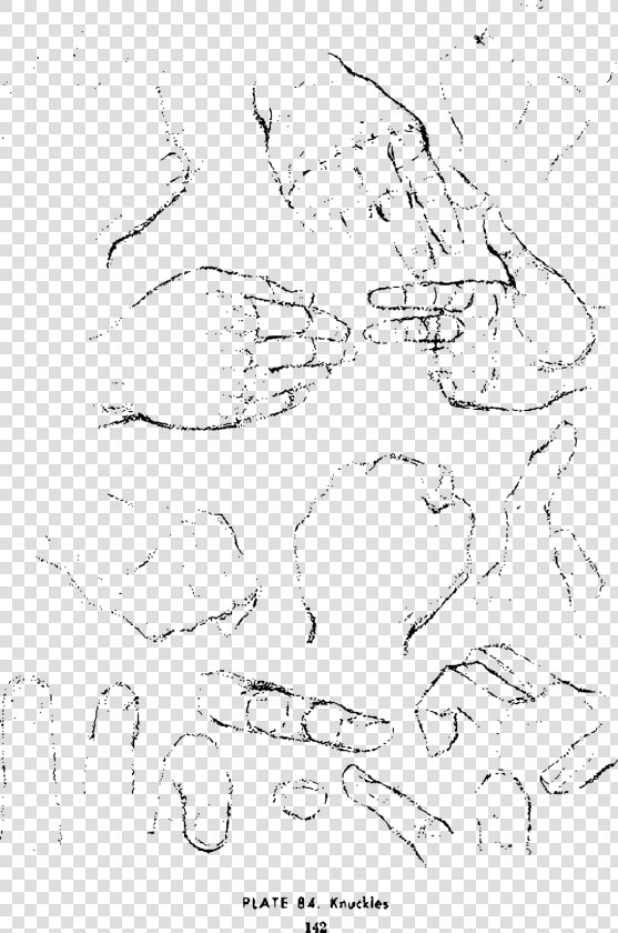 Andrew Loomis Drawing The Head And Hands 129 Clip Arts   Drawing  HD Png DownloadTransparent PNG