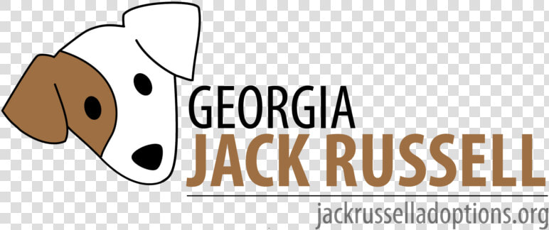 Georgia Jack Russell   Haiti Relief  HD Png DownloadTransparent PNG