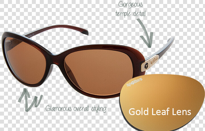 Polaroid Sunglasses Dk Havana  HD Png DownloadTransparent PNG