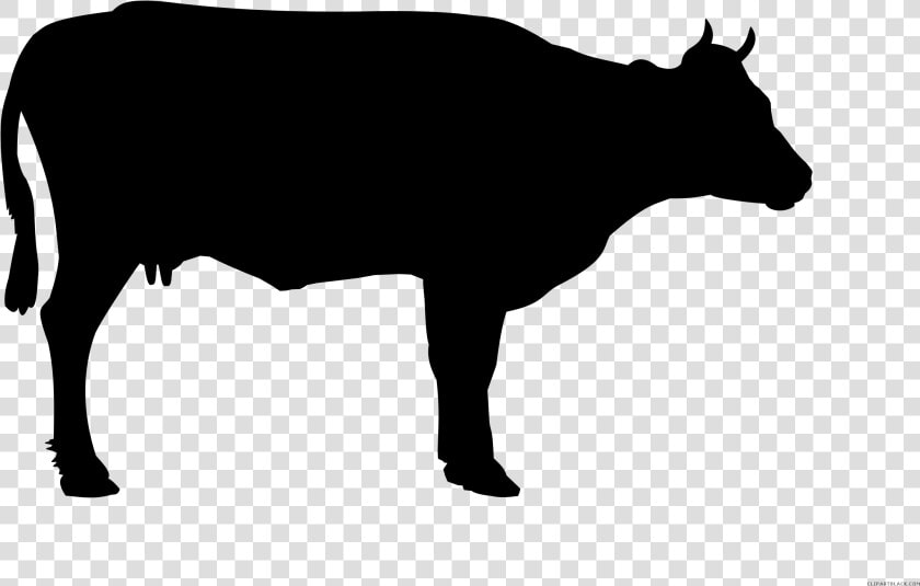 Cow Silhouette Clipart   Black And White Cow Png  Transparent PngTransparent PNG