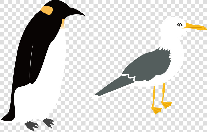 Penguin Vector Png   Intermediate Egret Flat Illustration  Transparent PngTransparent PNG