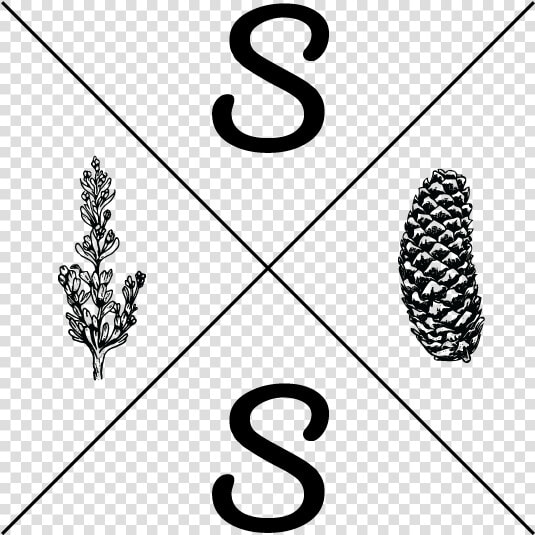 Sagespruce Logomain 02   Illustration  HD Png DownloadTransparent PNG