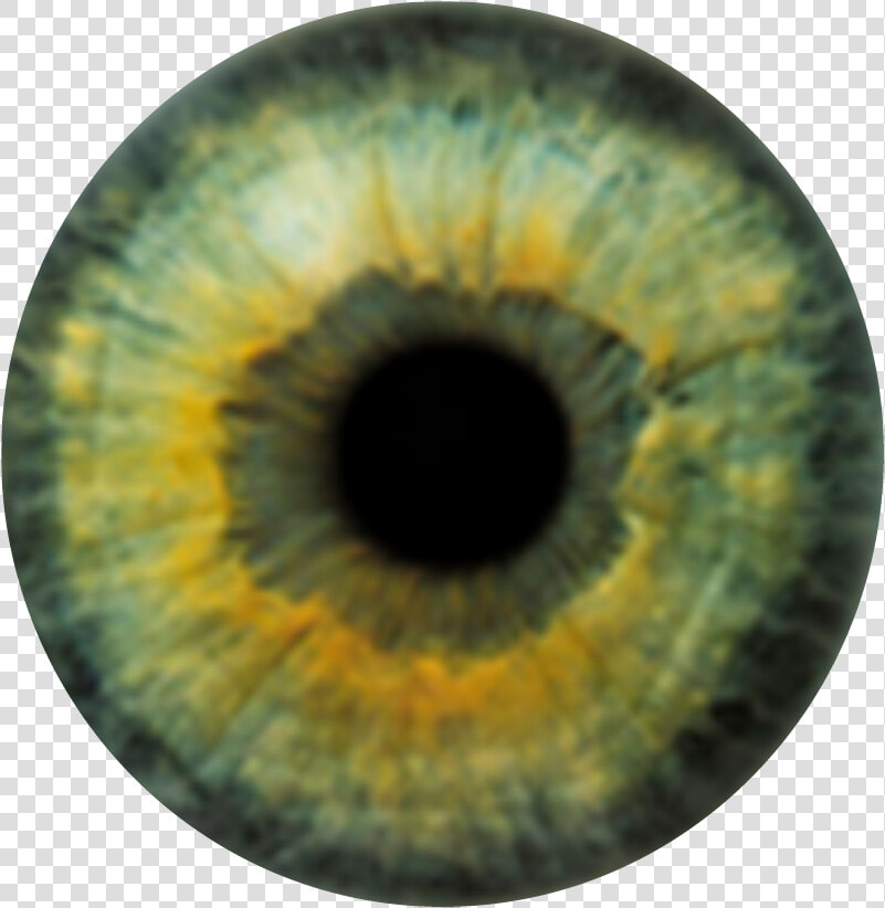 Realistic Green Eye Texture  HD Png DownloadTransparent PNG