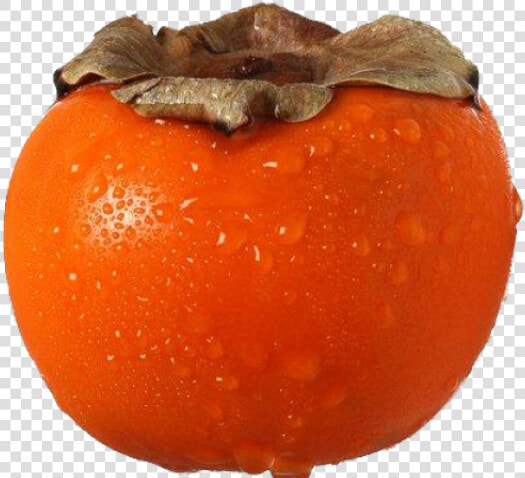 Persimmon Png Transparent Images   Persimmon Flashcard  Png DownloadTransparent PNG