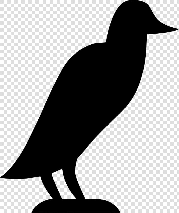 Ian Crow   Duck  HD Png DownloadTransparent PNG