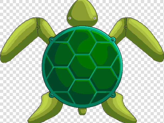 Sea Turtle Clipart Body   Turtle Images Png Cartoon  Transparent PngTransparent PNG