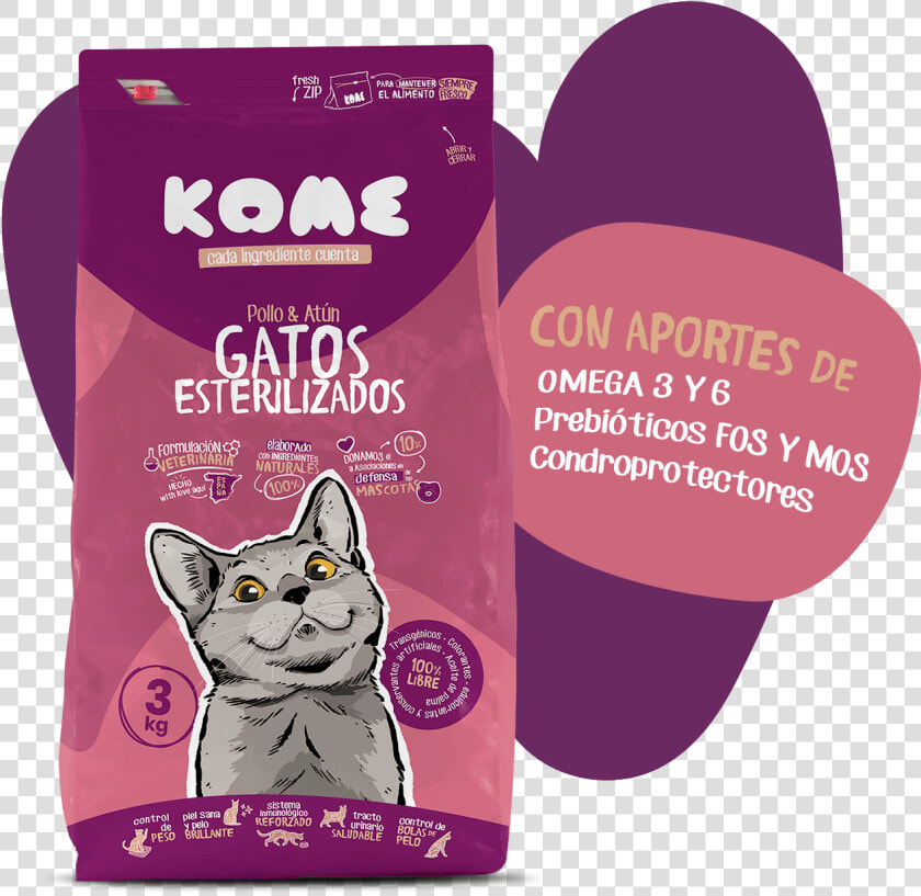 Gatos Png  Transparent PngTransparent PNG