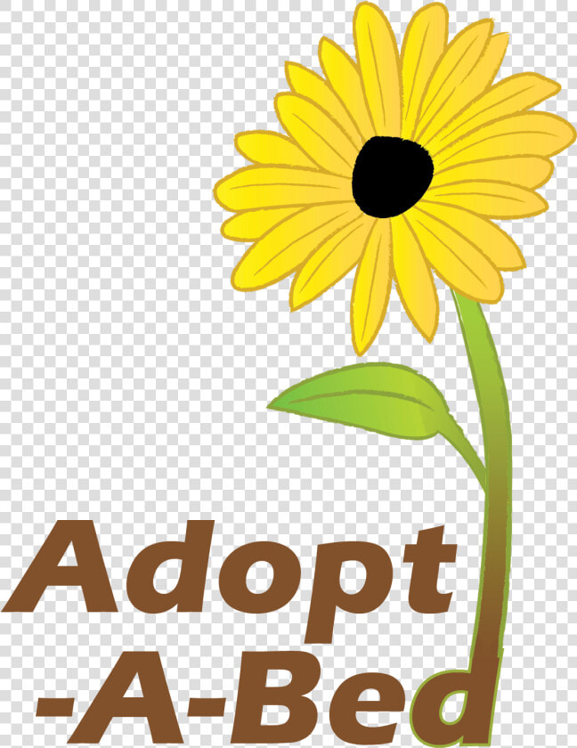 Adopt A Bed   Black eyed Susan  HD Png DownloadTransparent PNG