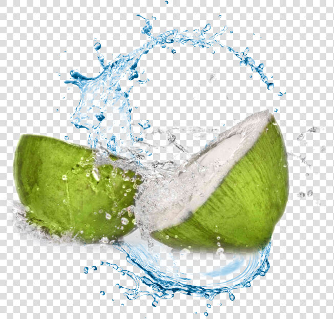 Coconut Water Transparent Background   Png Download   Coconut Water Png  Png DownloadTransparent PNG