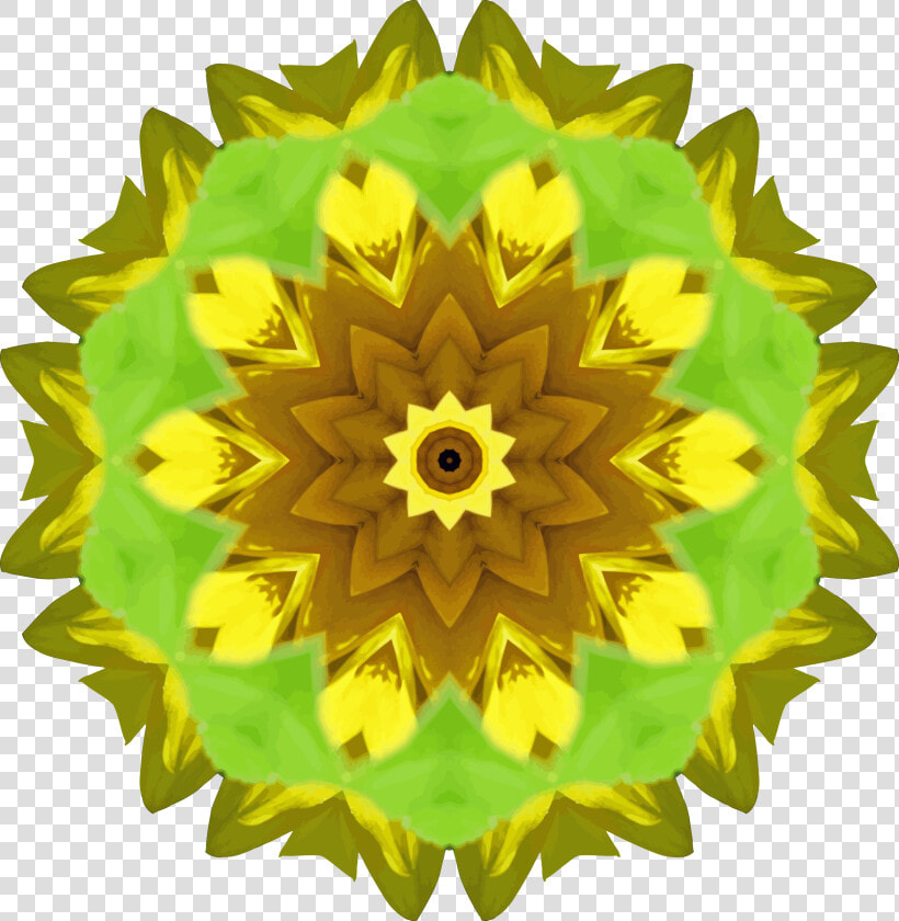 Sunflower Kaleidoscope 6 Clip Arts   Clip Art  HD Png DownloadTransparent PNG