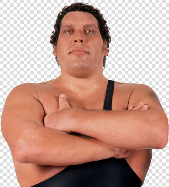 Transparent Mick Foley Png   Andre The Giant  Png DownloadTransparent PNG